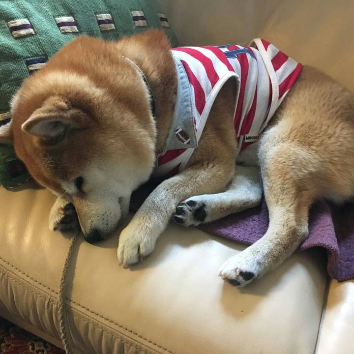 779af0be e3d1 4ba1 ac1e becc90c1d993