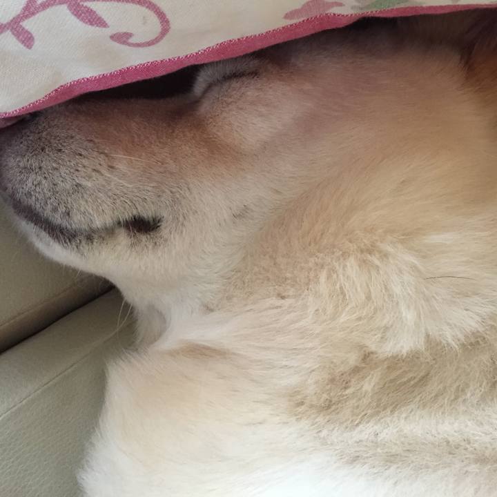 779d2983 911f 49cb 9c7c aa21020b548d