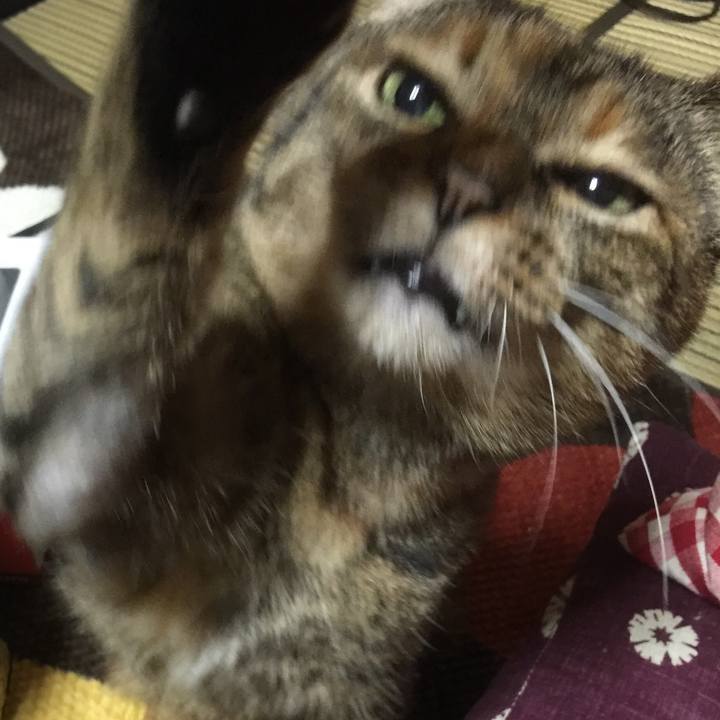 779d3e6b b96a 4a2c 9628 e100ca7f9b30