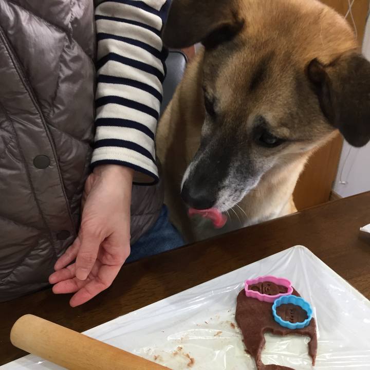 779d640b a4a1 47ff ac03 e0b37349f92d