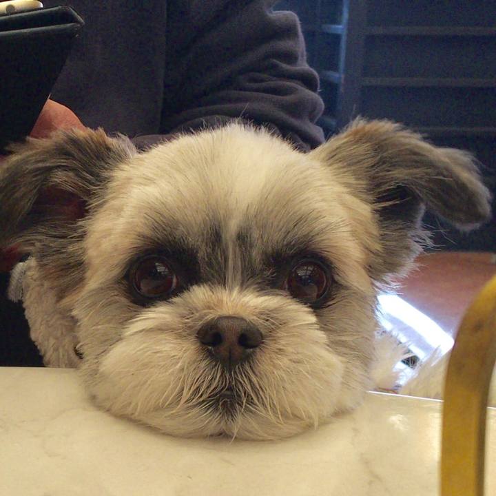 779df20e 15aa 4bb4 9208 e0a288f7d349