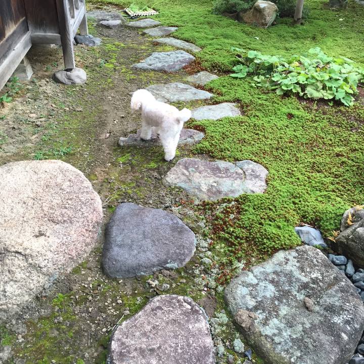 779e2a23 9ba8 4b56 8dfb 198269707bc7