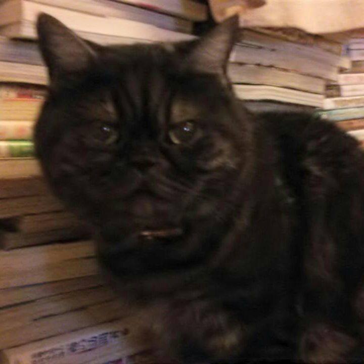 779e7b99 02b4 4468 818c 7c193b0bc1d1