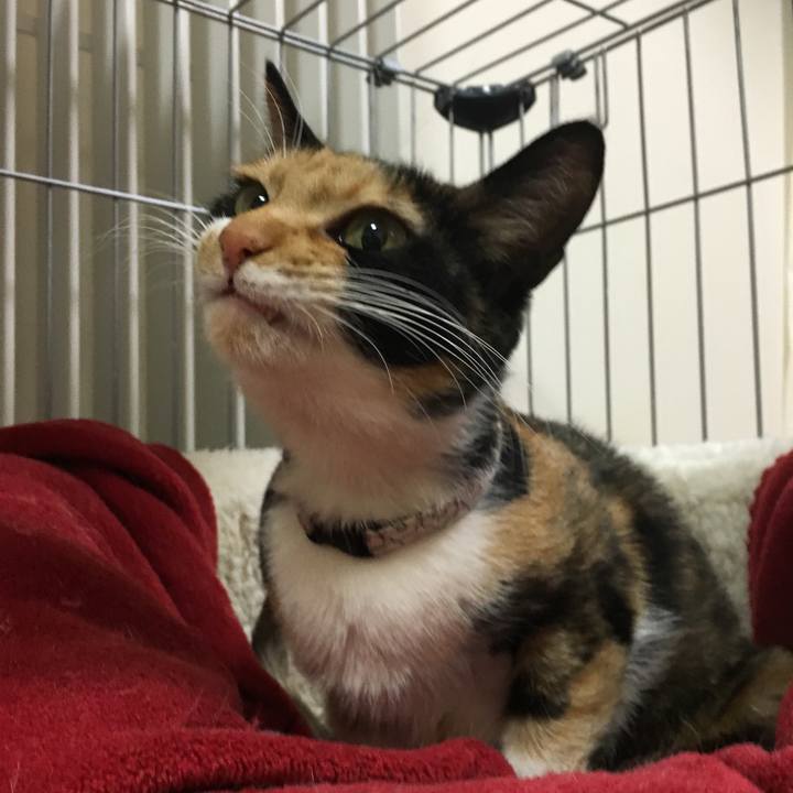 779ea329 23d1 4a2c 97a0 a80f82b2956d