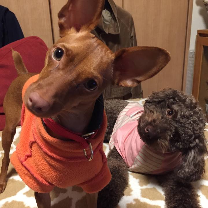 779ea5e5 dc6b 4ab3 9298 dc11b0e12d41