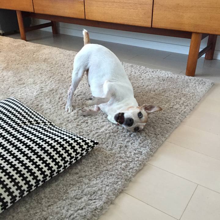 779efa19 85da 4340 80d4 d2ec7b68c5e9