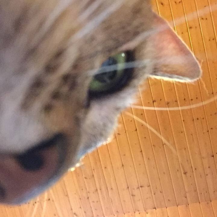 779f45ba addc 4f7d 83de 800d01dff8a1