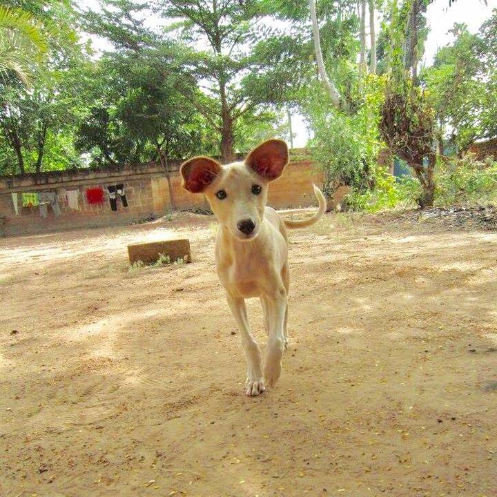 779fcd03 8f1a 4744 9faa a4cef89dca2f