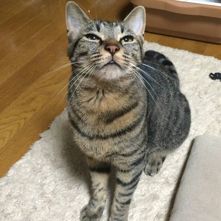 779ffb61 e6dd 4da5 991c f246ff871494