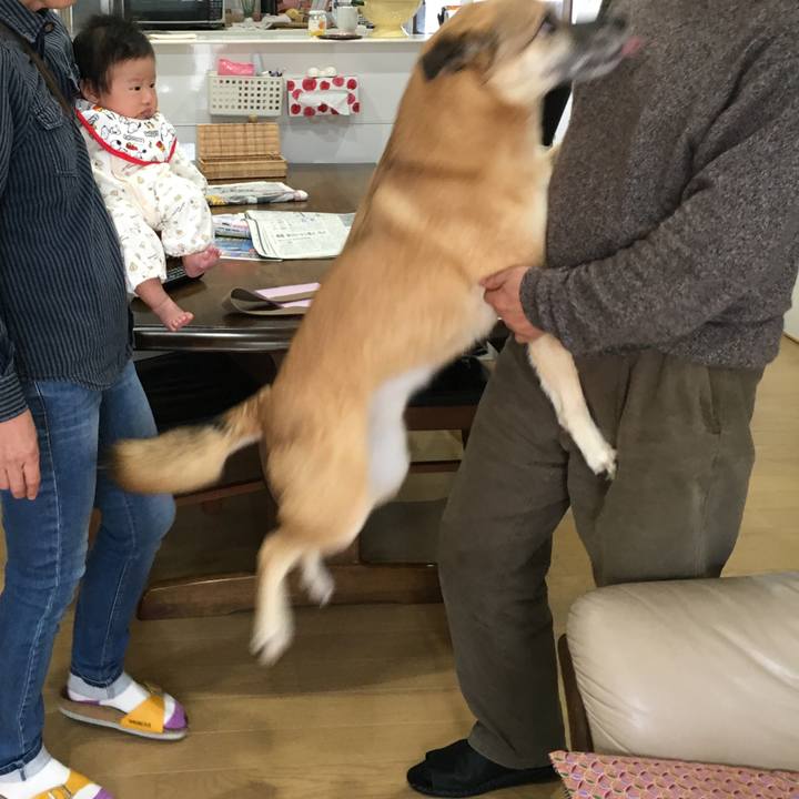 77a0ca33 3b9d 4235 a597 172affb7923e