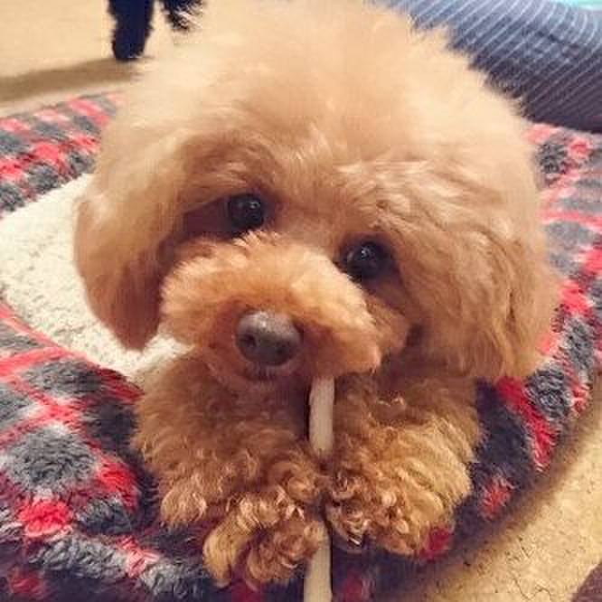 77a0f80d 9520 4a96 a4e3 6a1b284687c5