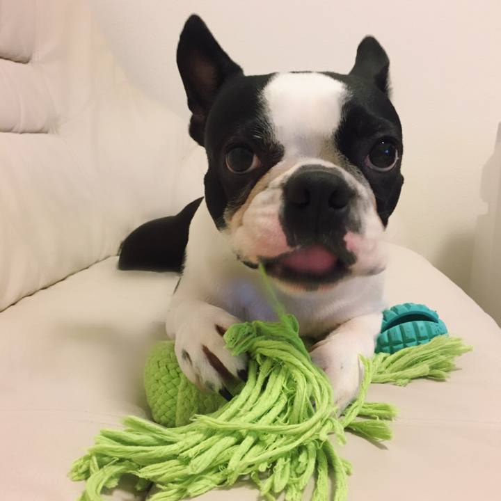 77a1255f 5a58 4abd be4b 46591512cb5c