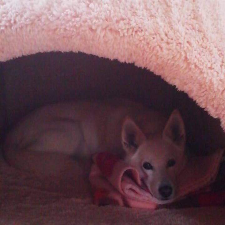 77a148f4 4821 4e66 897e 2c20b987bc04