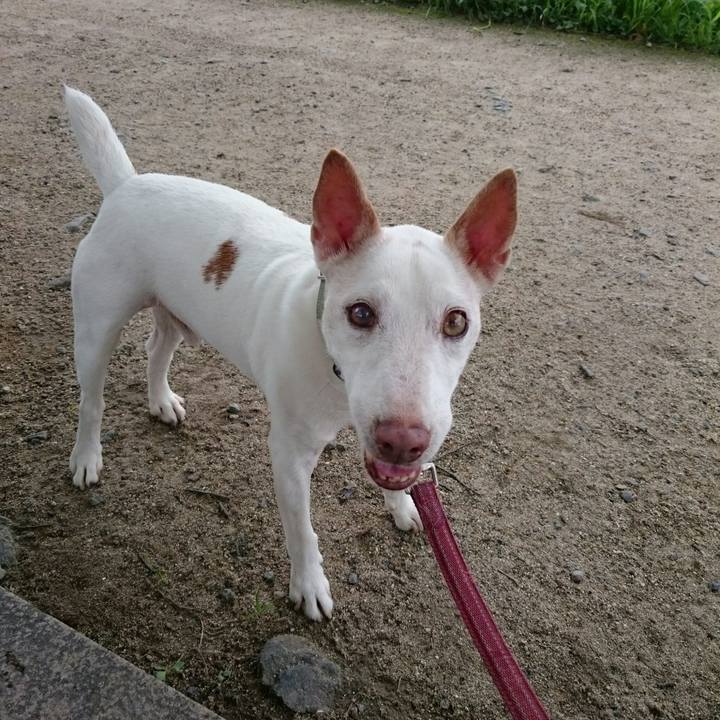 77a258e0 5b56 43a4 b65c 67b4ca3bb7b9