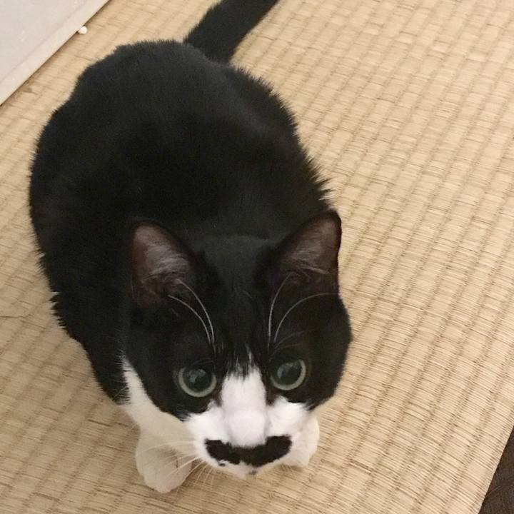 77a28db9 a941 4d2e 8453 359d2f163160