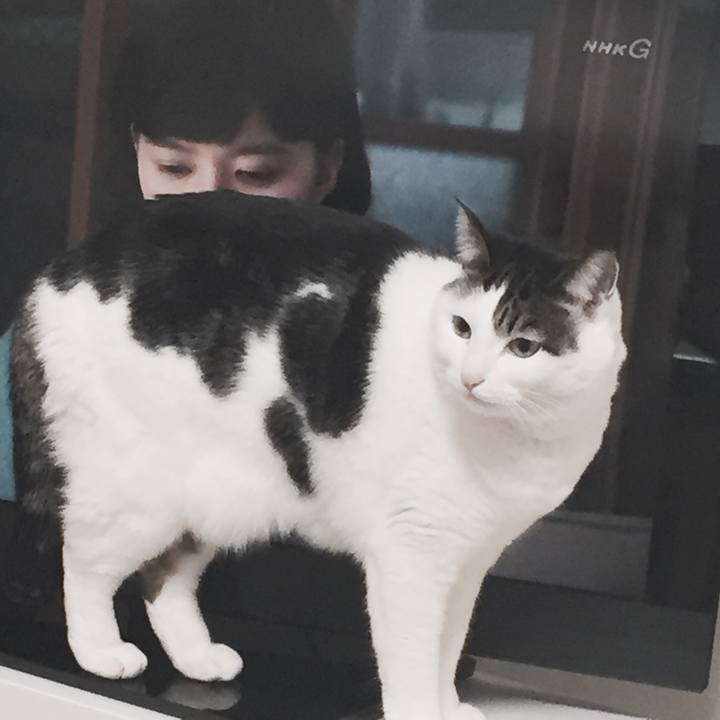 77a2afcb b8a0 4ea5 94ff 609b4fa9f62e