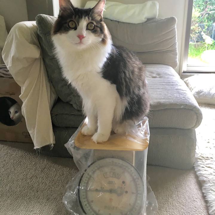 77a2b855 f108 44ee a07e 15c3db718bff