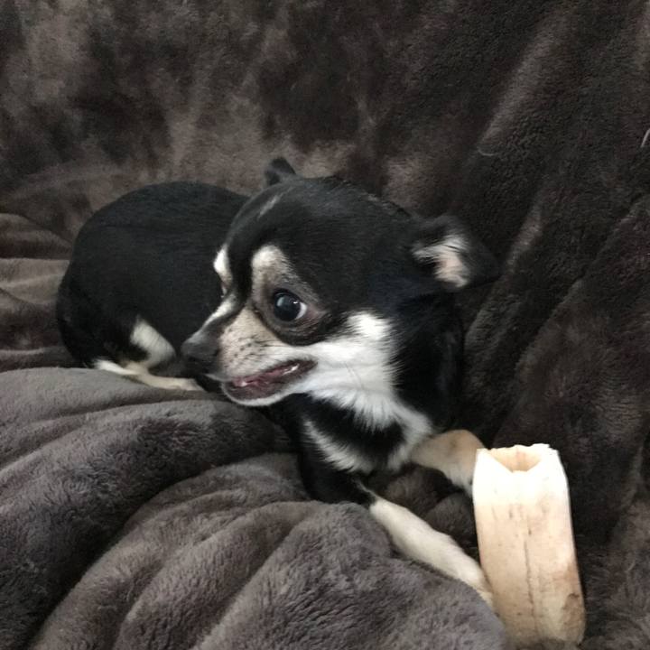 77a2fa09 4141 4f47 9b5a f1664b08e203