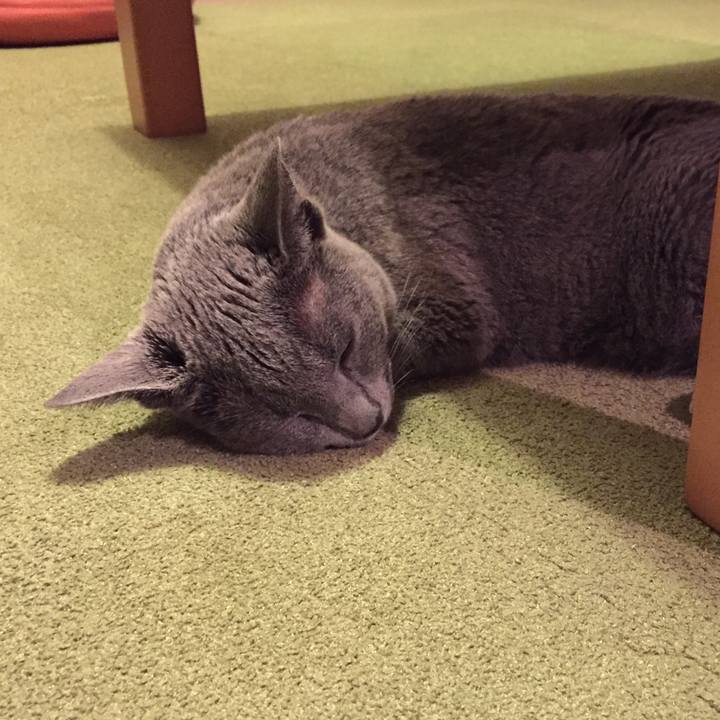 77a362e0 d34f 4855 9218 7c95c34e8d00