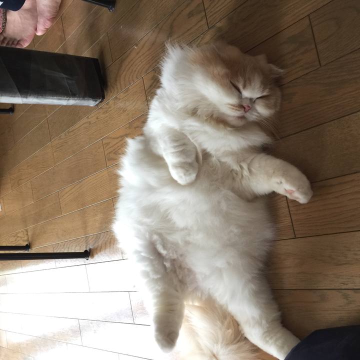 77a3fb51 f63f 4cc7 9ac8 1485a58b914f