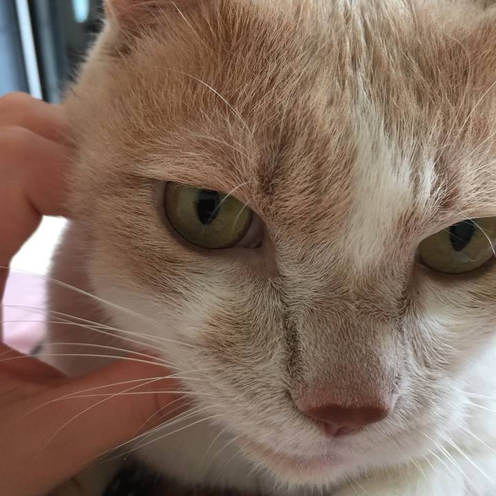 77a422b1 6ff2 43c7 8672 844e4ad72545