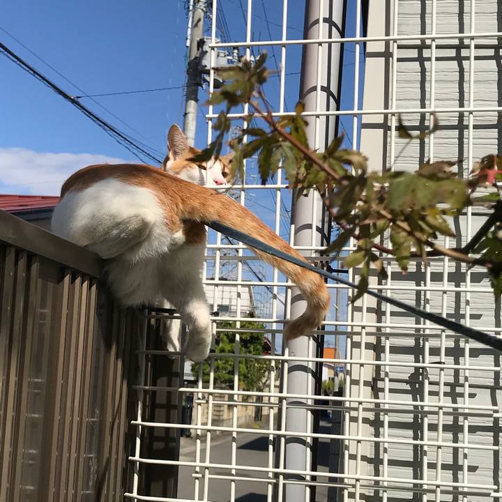 77a52167 38a5 46db ab55 36fd162fbbcc