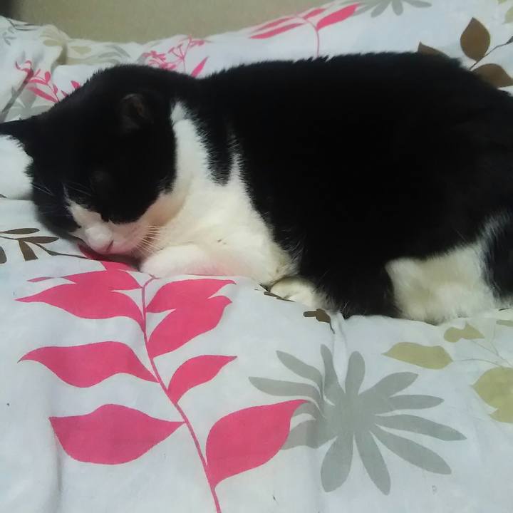 77a57c30 636f 412a a05e d392ba6af281