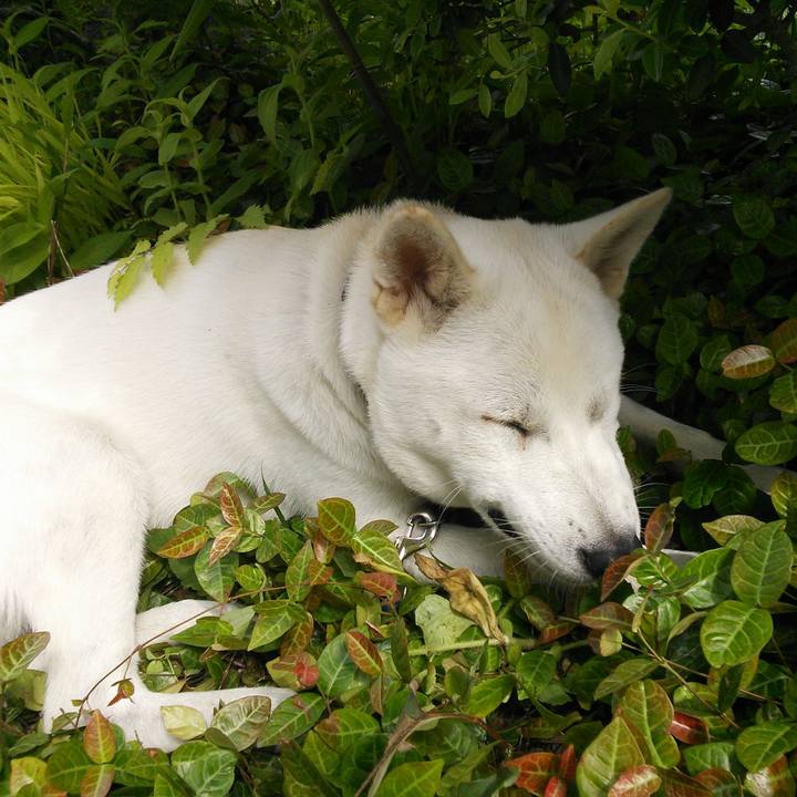 77a66f5b 6595 443a a880 1f686ad299bc