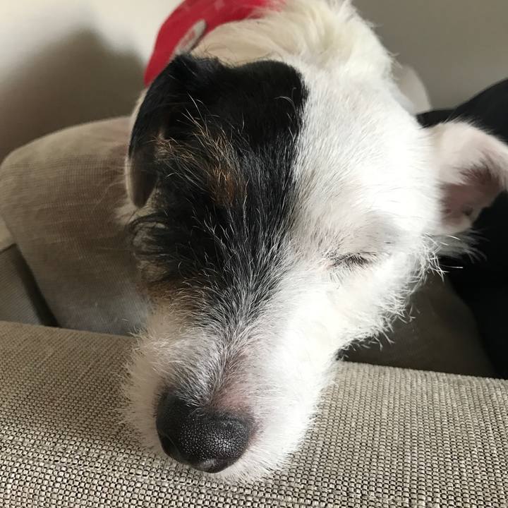 77a6781d 42d2 41c8 bc77 d3a1237aafe9