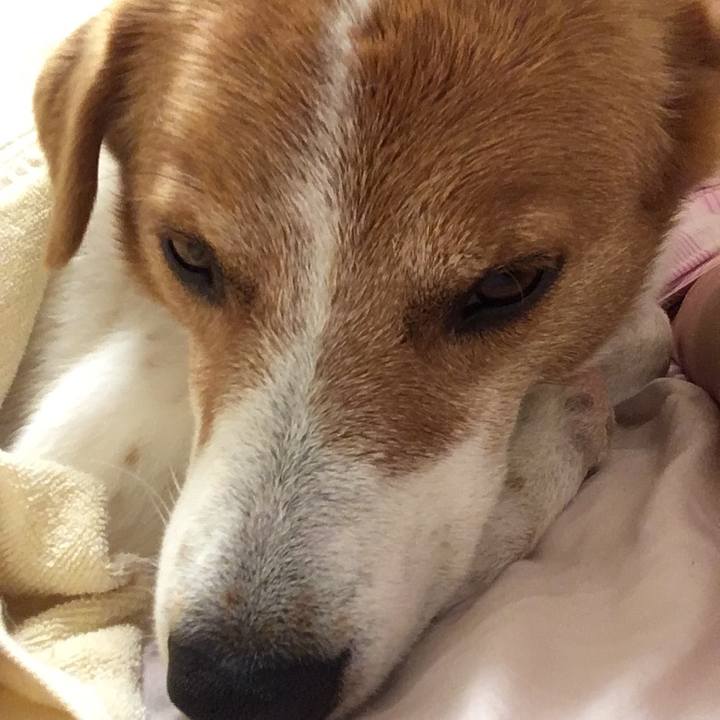 77a72ab0 88a3 4be1 ab40 613f93652676