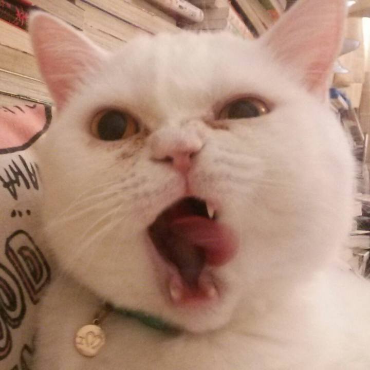 77a72ab1 6798 4220 840d 5cace79b9264