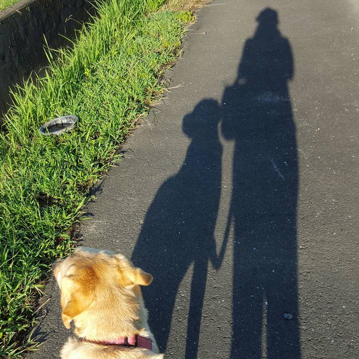 77a78597 01f4 45e7 89b3 9f588e3ab4c5