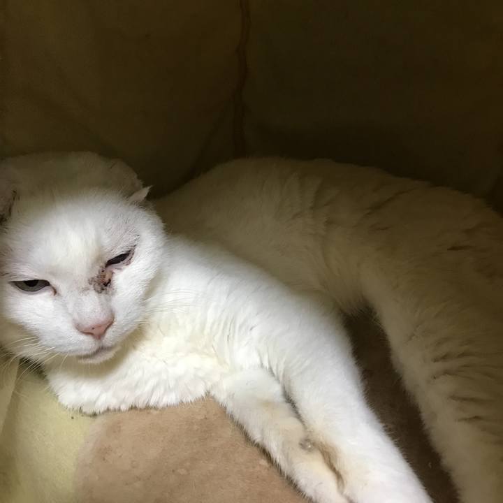 77a7ae7b e59e 426a 9bd4 5a6fc3b948e8