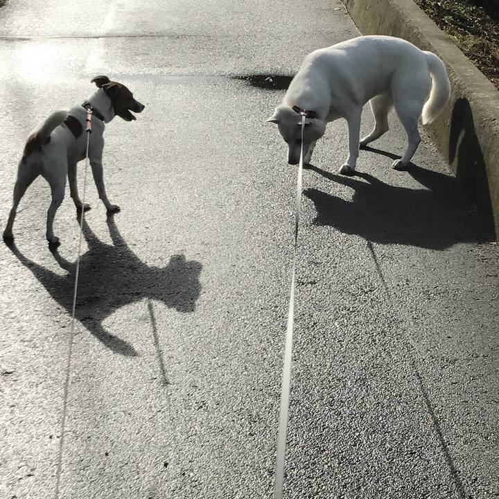 77a84b45 e617 4fe0 b6cb a4a08b4b085e