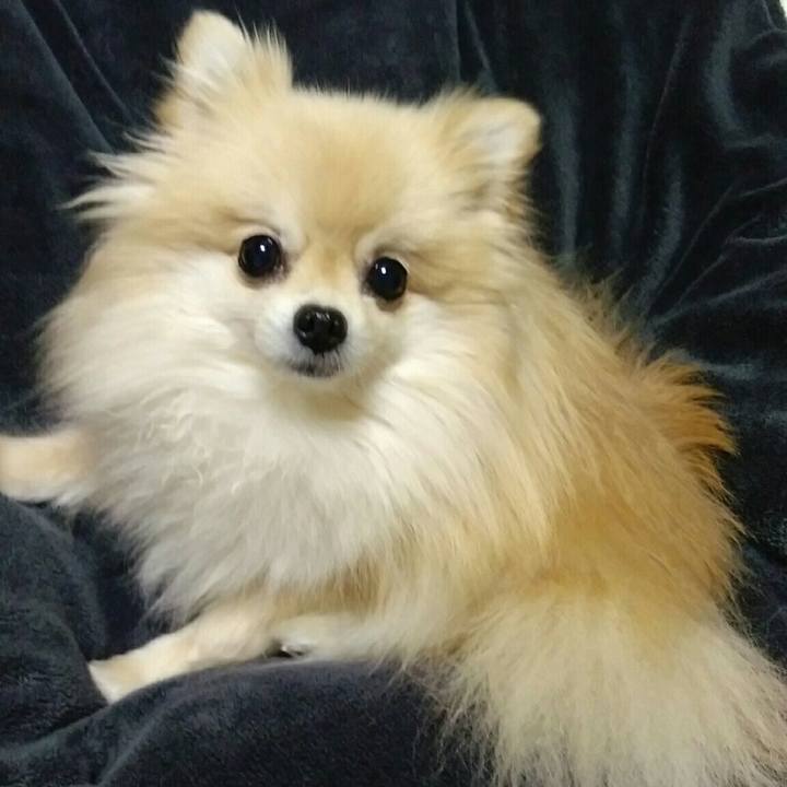 77a84e8f de5d 4ab3 b17a c4f490d56774