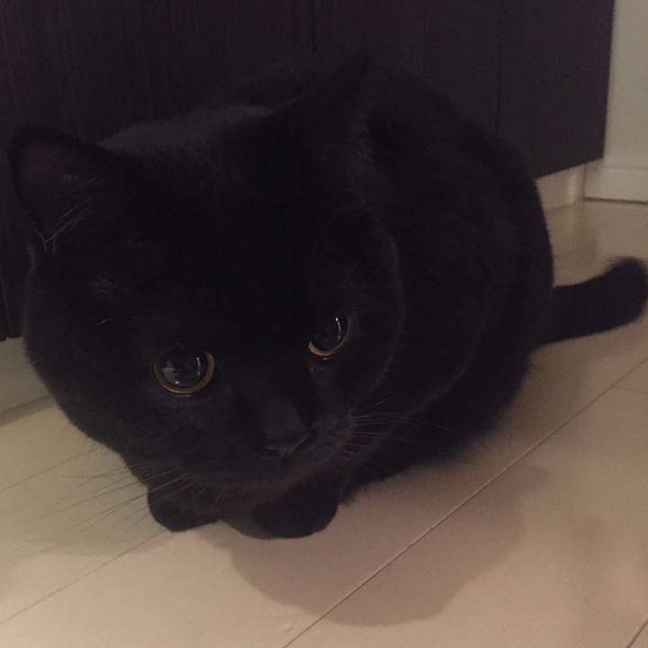 77a97672 c09c 4f26 957b 7367af840449