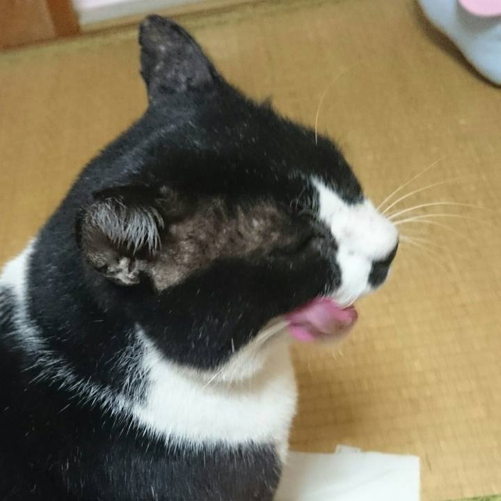 77aa08eb 4081 4e78 b96d 9a2397bf3782