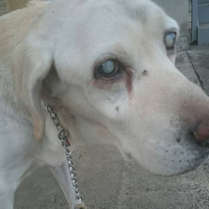 77ab9393 e7b9 4bc7 a326 af9bce588811