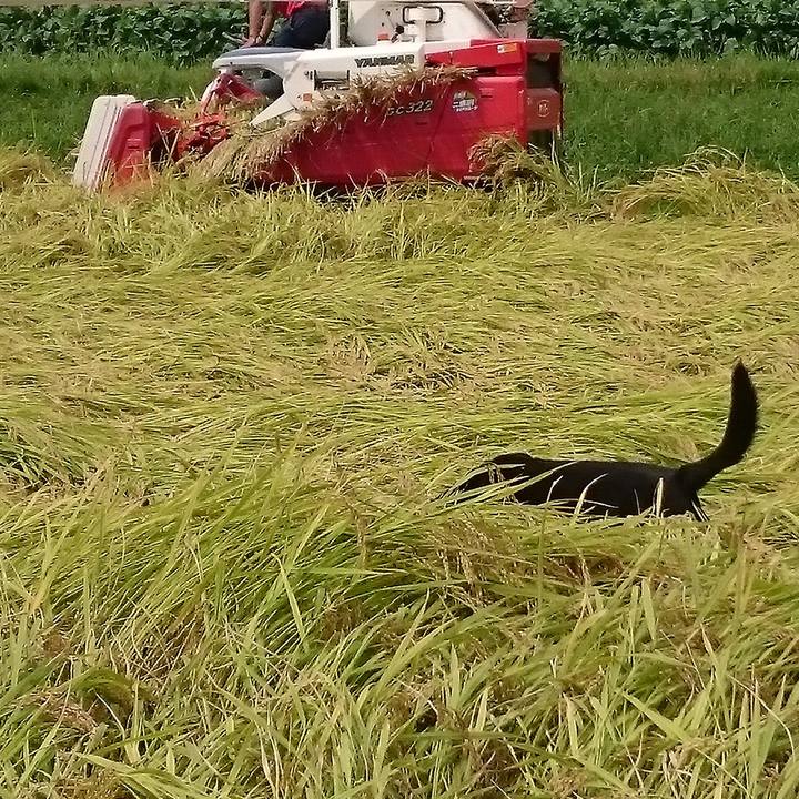 77ad068b ecae 4929 b20b ad2682041754