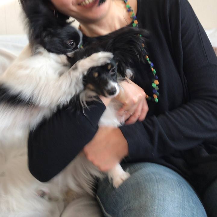 77ad49e6 c9d2 4ff8 8e05 bf33f24d584d