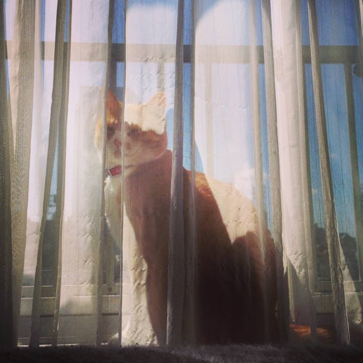 77aeab63 70af 4cc9 b7be 268a1c7e3382