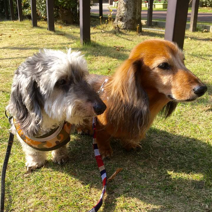 77af22ed a091 40e4 b5fa bc492a0c9493