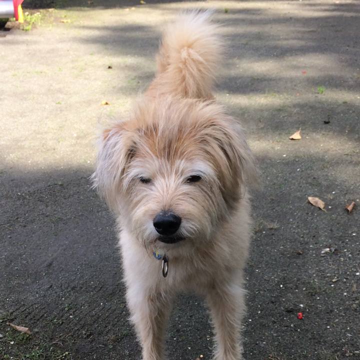 77af2773 d7e2 45cc a942 62405354f1e8