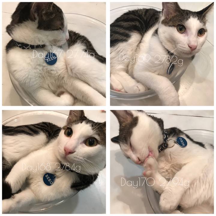 77af7063 d901 4fd2 ada2 f9281e9a004b