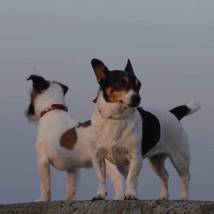 77afe5c9 25a3 4fb3 af88 9993abd71169