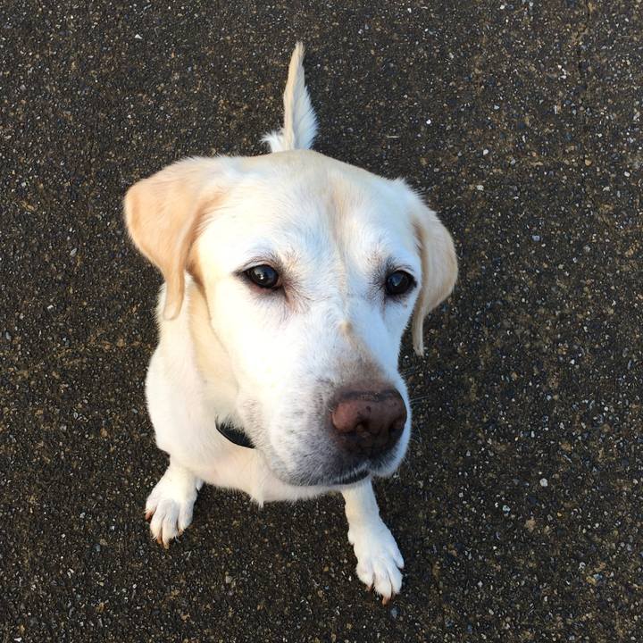 77b05c77 33e3 43be a444 47dc241539f1