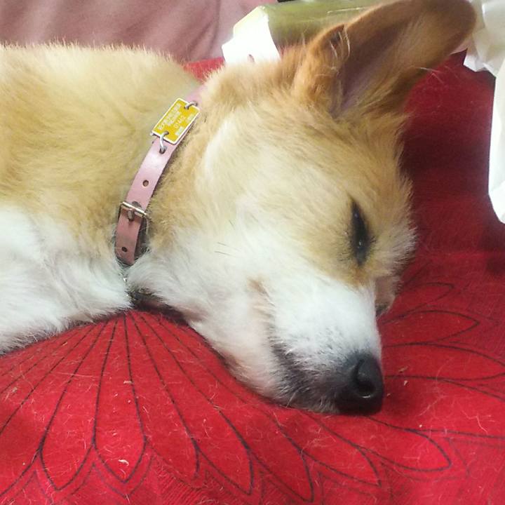 77b06a29 86bc 4e55 bbd3 e9a3a4a84bc7