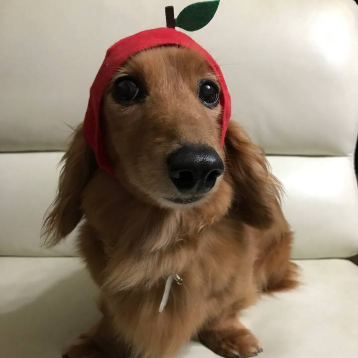 77b0f760 8bfe 4ce9 b960 3c56a51e696c