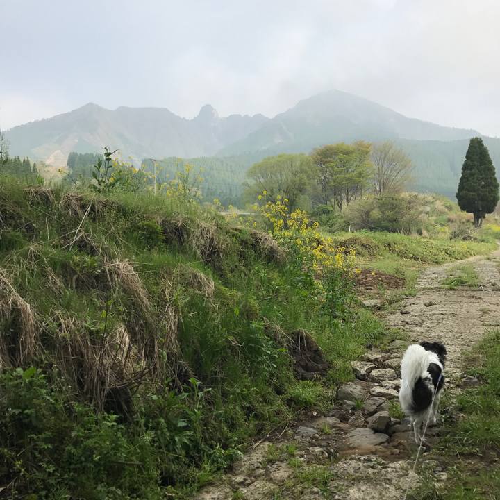 77b1354e 66cb 4de2 a21c fa287419bb1b