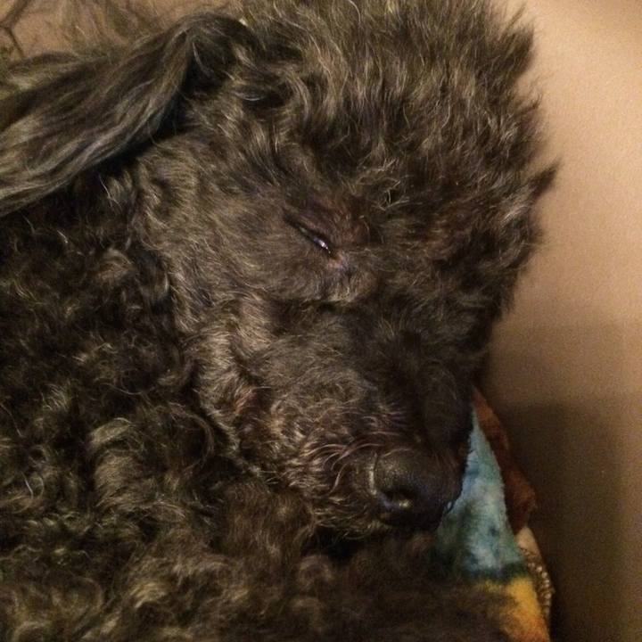 77b1caa8 8f8d 4d47 8801 b8060fd80ee0